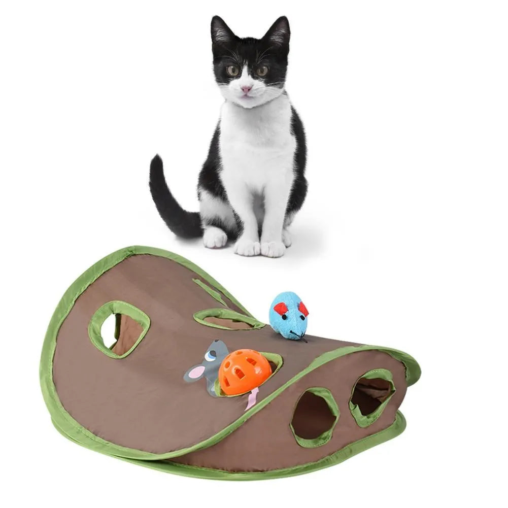 Jeu de cache-cache interactif pour chat