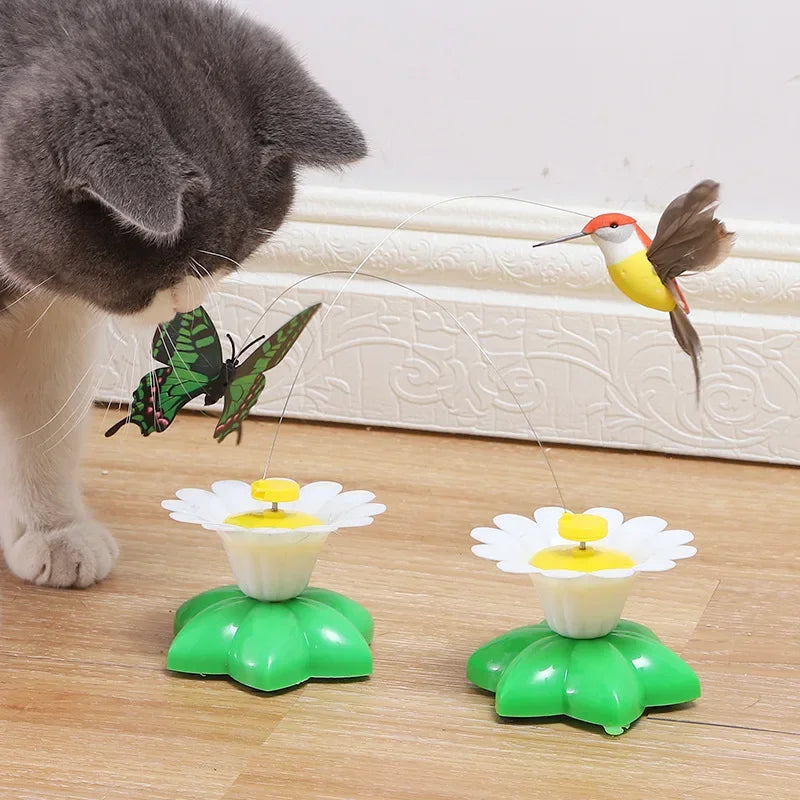 Jouet interactif chasse-papillon pour chat