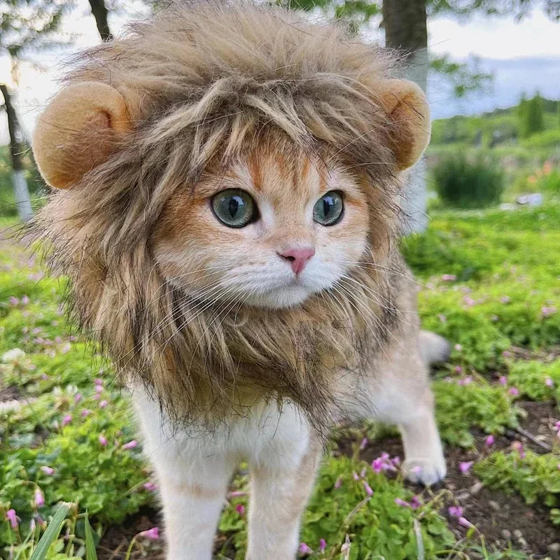 Bonnet capuche perruque de lion amusant pour chat