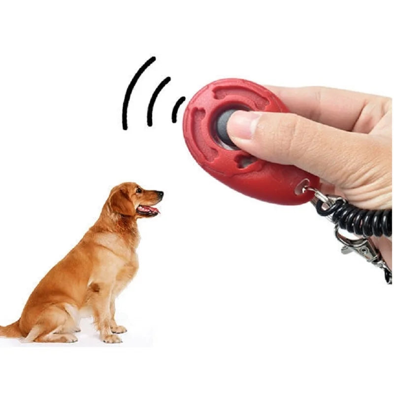 Clicker de dressage pour chien