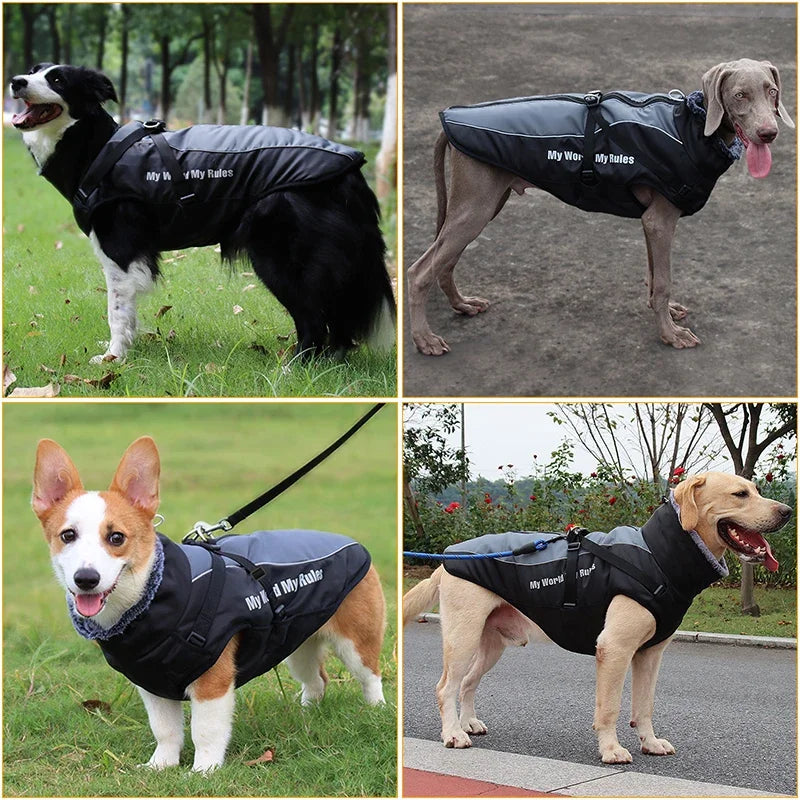 Vêtements imperméables pour chiens