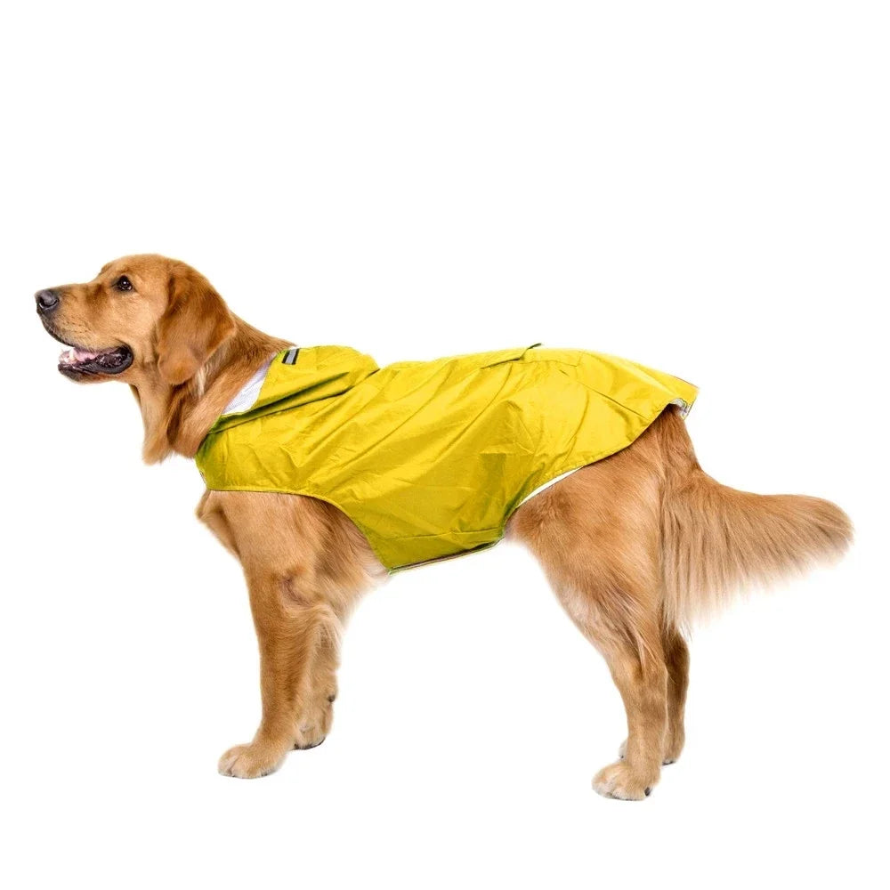 Imperméable pour chien