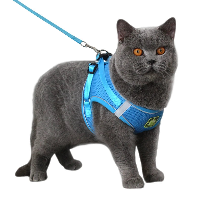 Gilet de harnais réfléchissant pour petit chien et chat avec laisse de marche