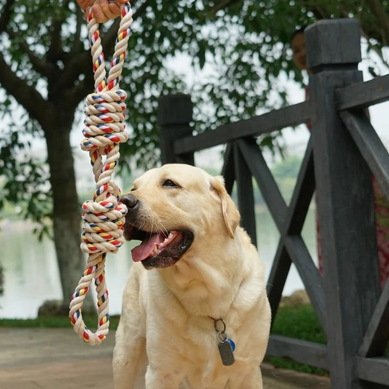 Corde jouet pour chien