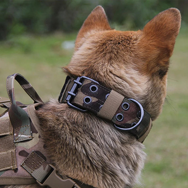 Collier réglable style militaire tactique pour chien