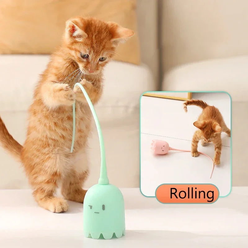 Jouet interactif pour chaton et chat