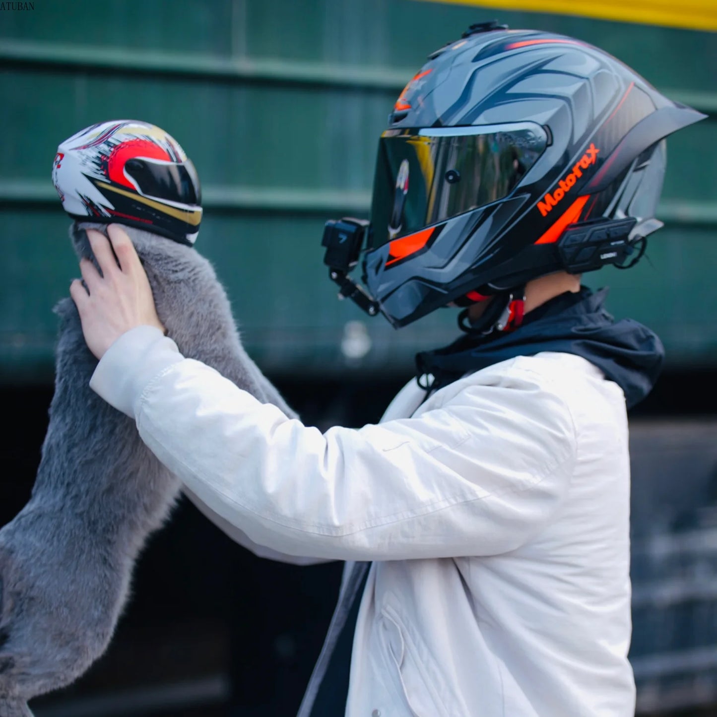 Casque de moto pour animaux de compagnie