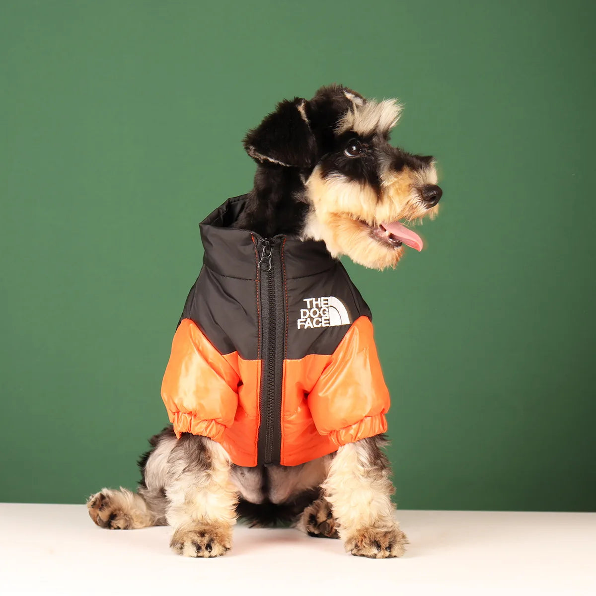 Veste d'hiver, coupe-vent pour chiens