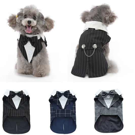 Costume de smoking, déguisement pour chien et chat