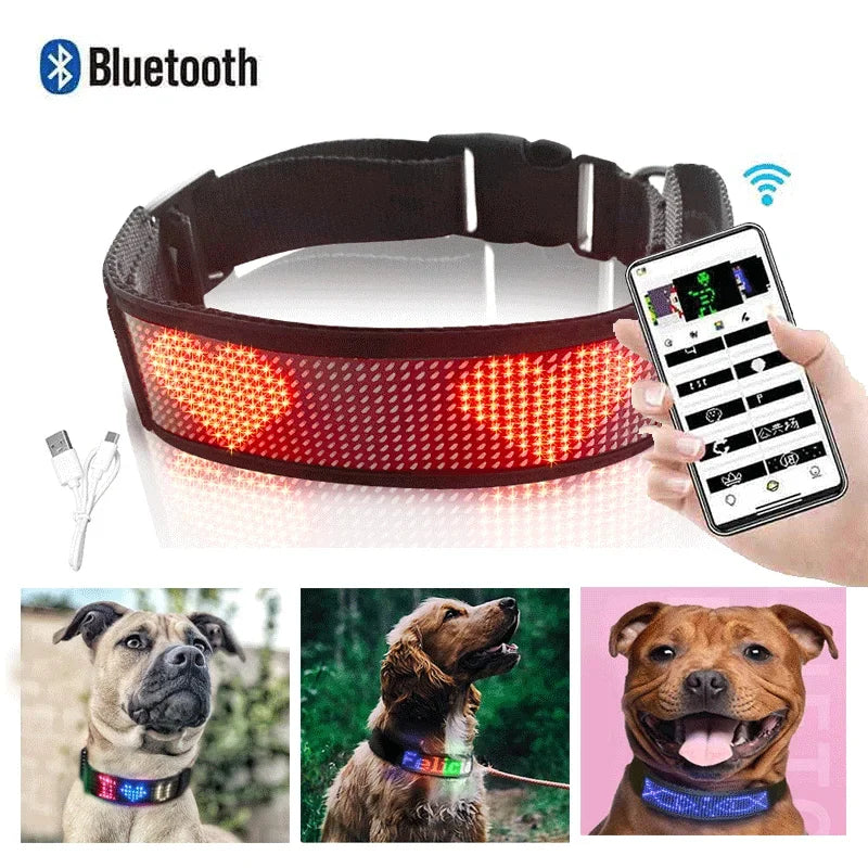 Collier LED lumineux réglable par application Bluetooth pour animaux de compagnie