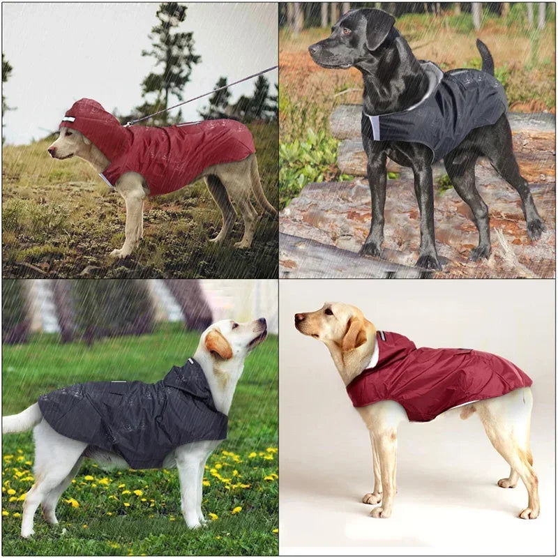 Imperméable pour chien