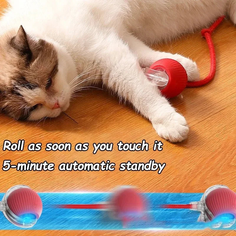 Jouet balle interactif pour chat