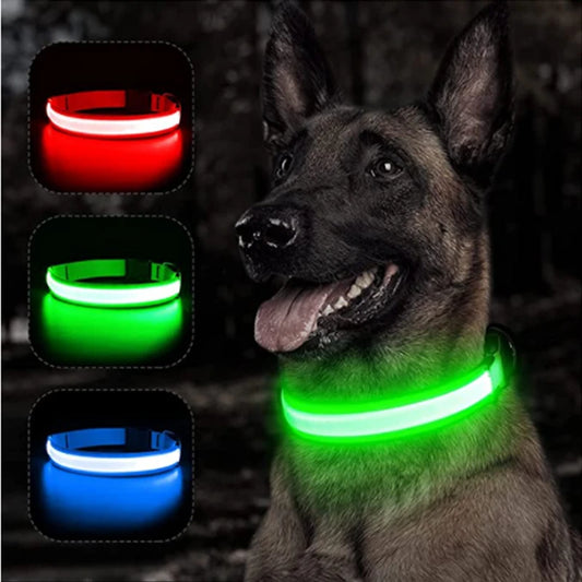 Collier lumineux Led, promenade nocture pour chien