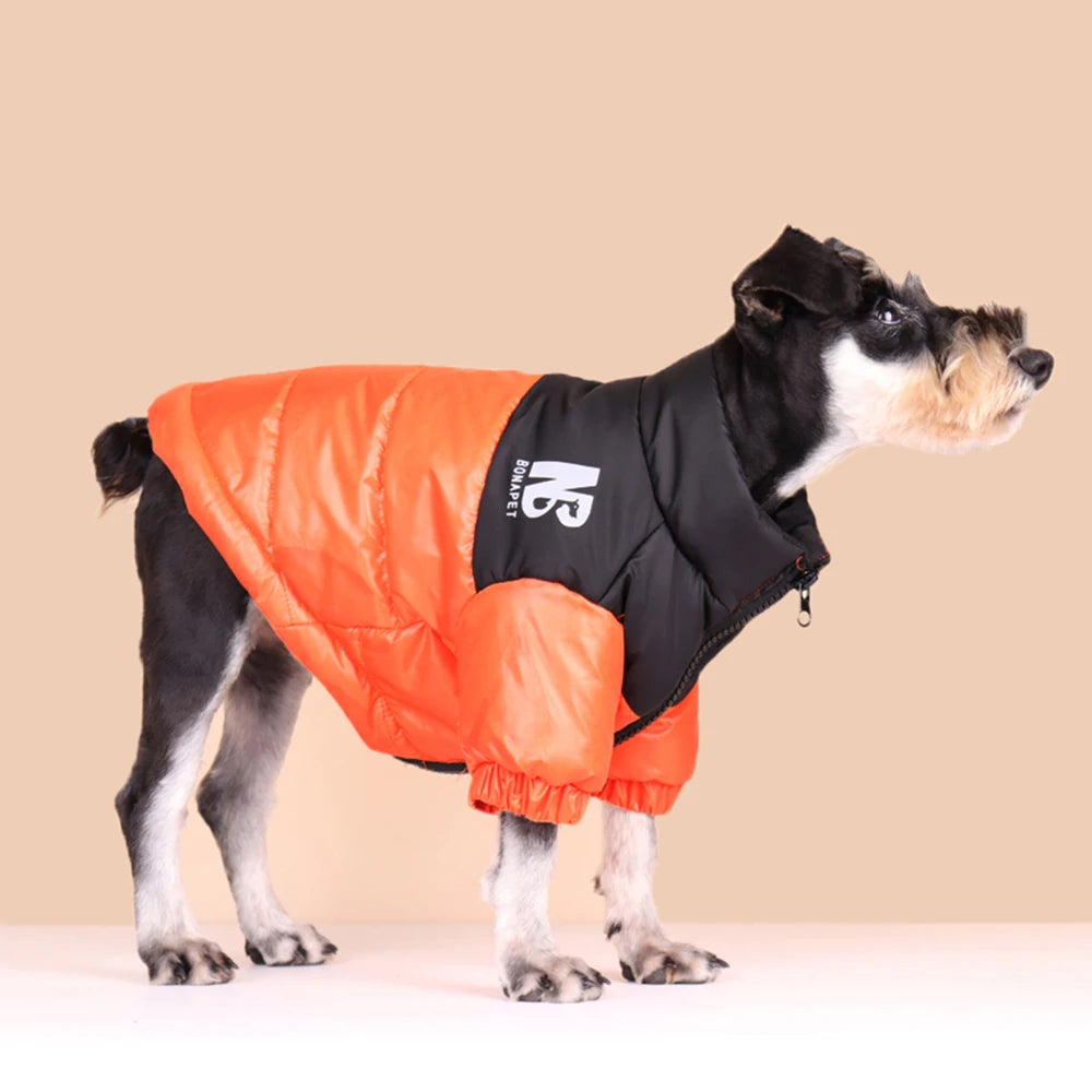 Vêtements épais, coupe-vent pour chien