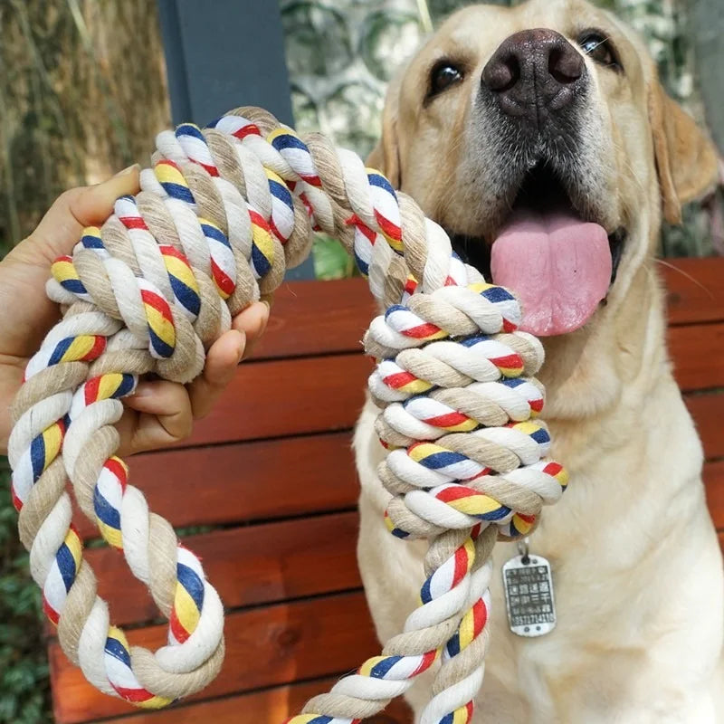 Corde jouet pour chien