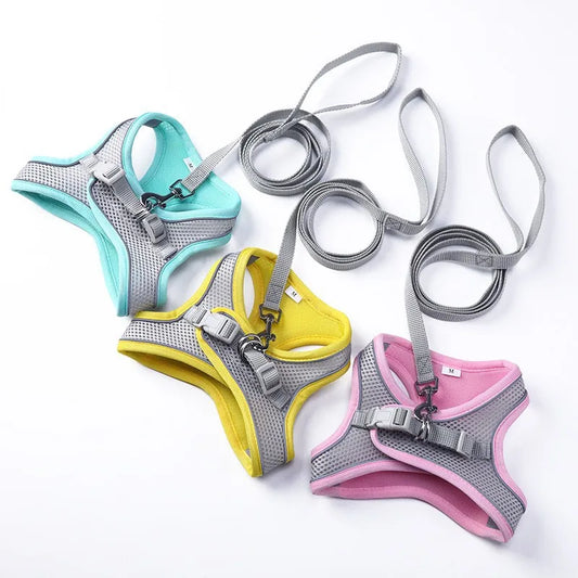 Harnais pour chien gilet avec laisse, sangle de poitrine réglable.