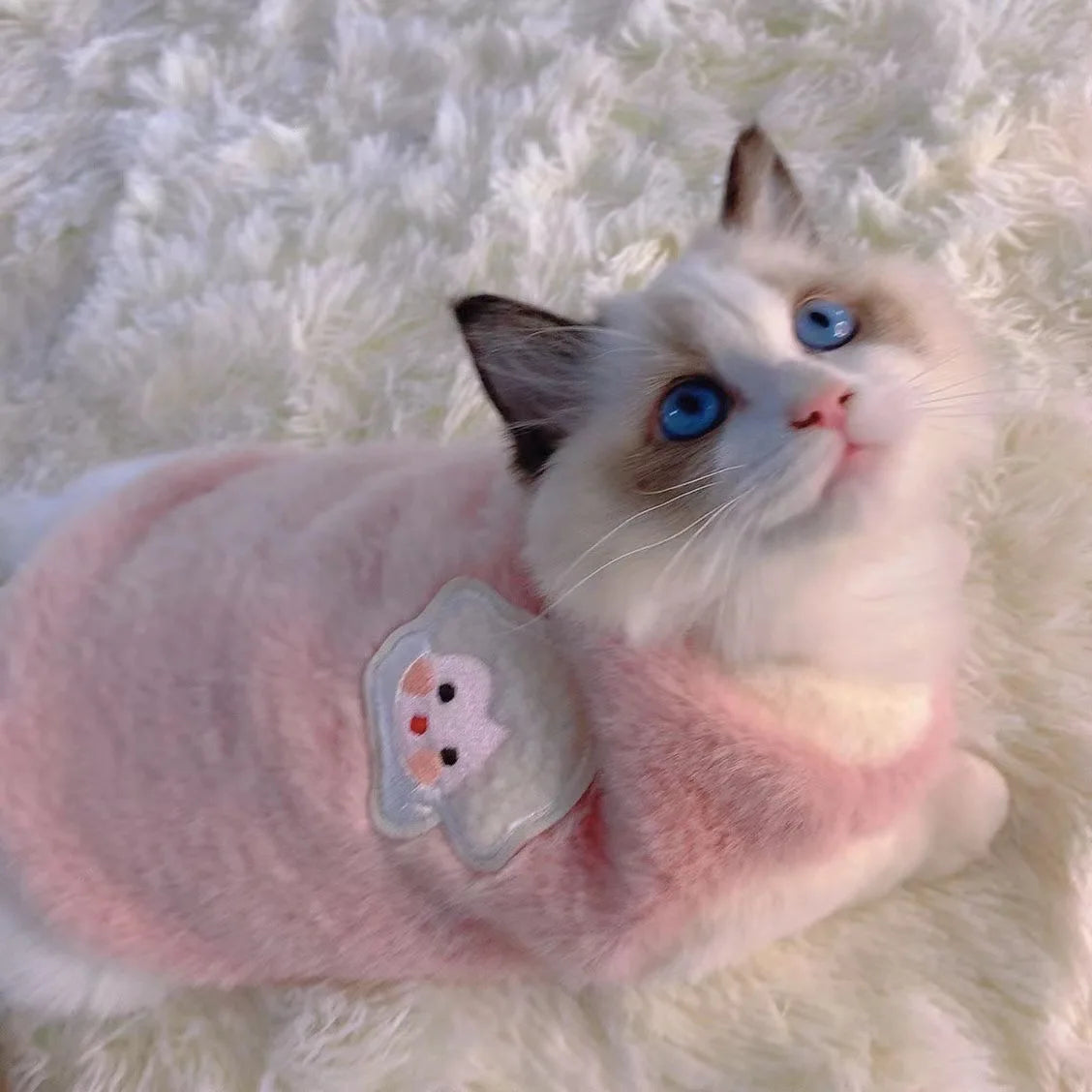 Gilet polaire avec motif cousu pour chat