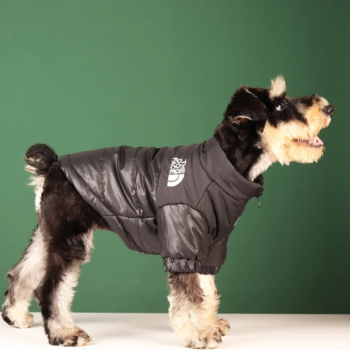 Veste d'hiver, coupe-vent pour chiens