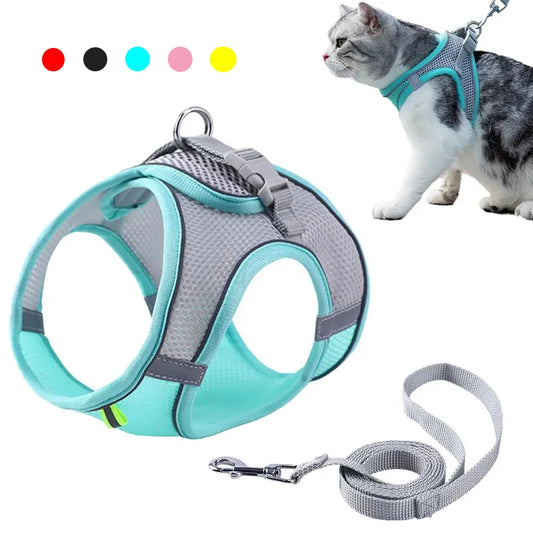 Ensemble harnais et laisse pour chat et petit chien