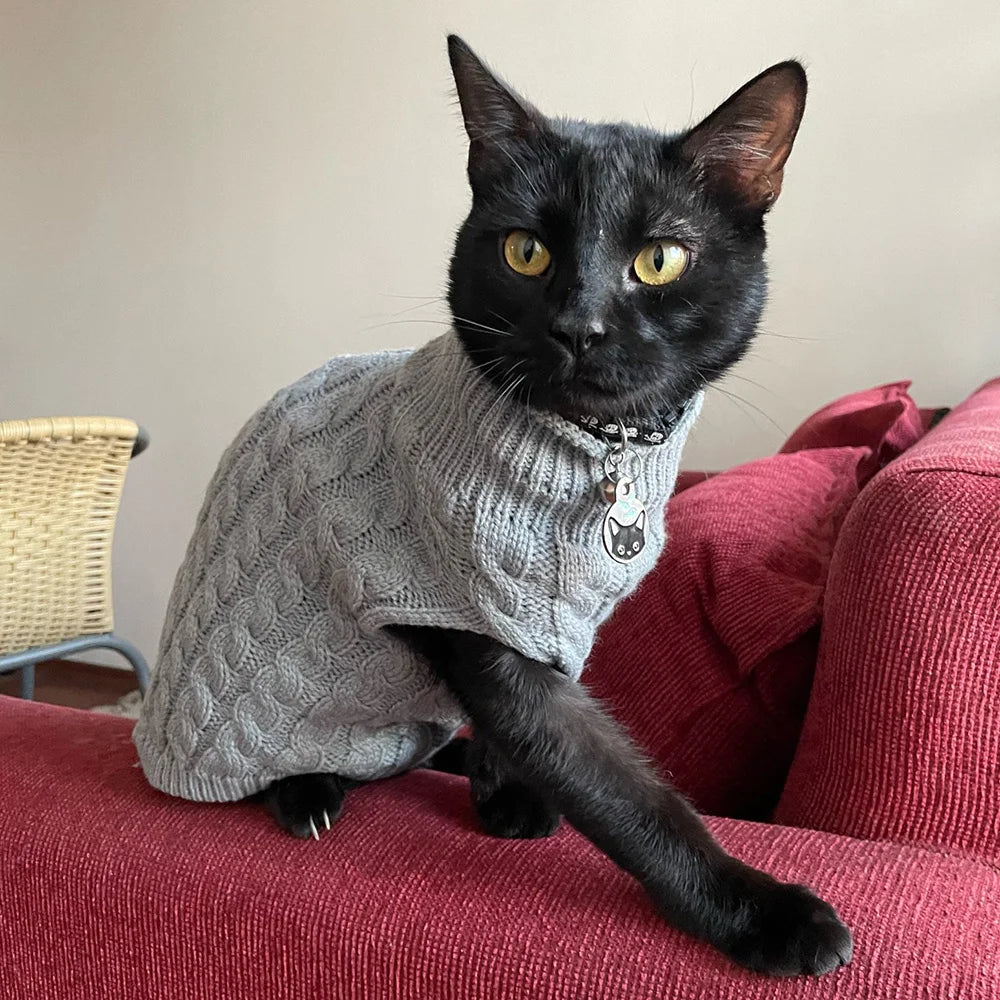 Pull tricoté chaud pour chat