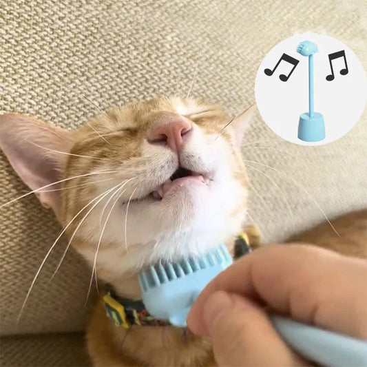 Brosse de massage interactive pour chat