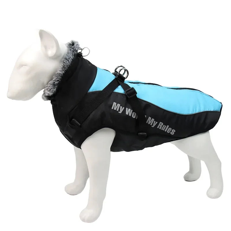 Vêtements imperméables pour chiens