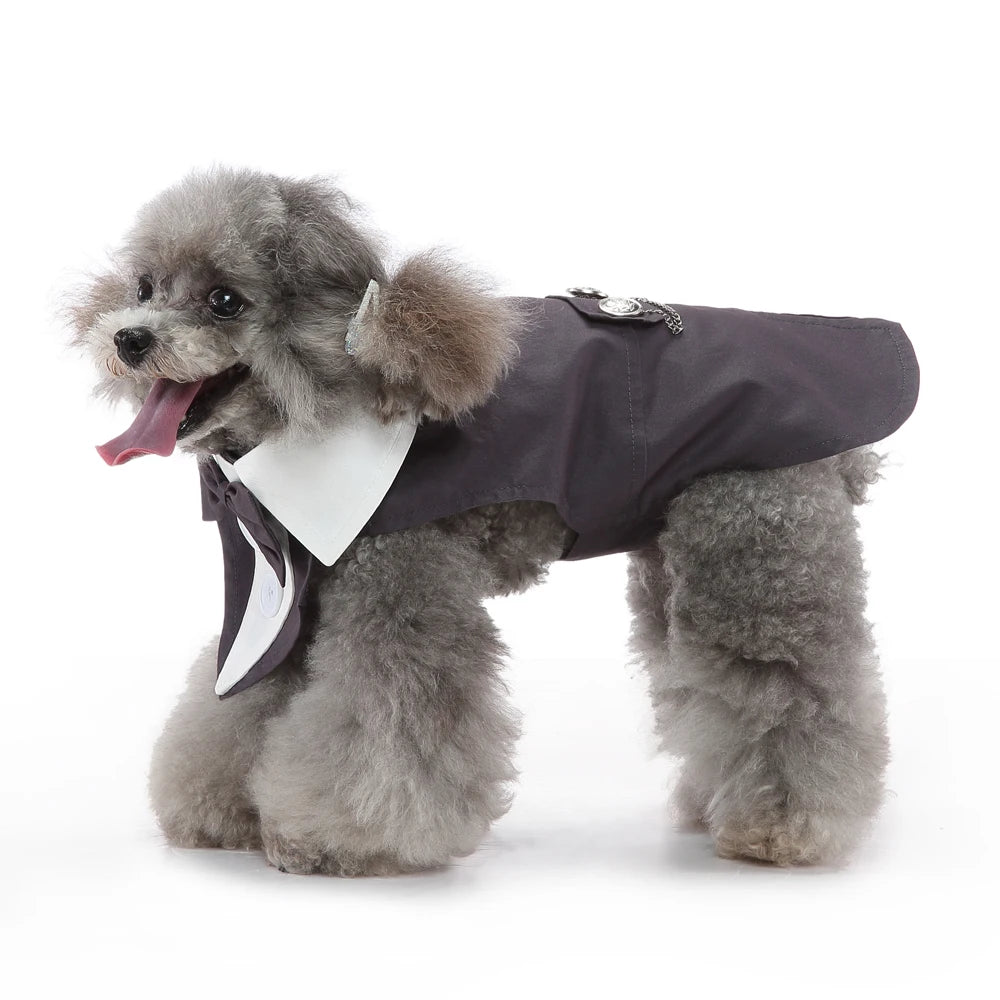 Costume de smoking, déguisement pour chien et chat