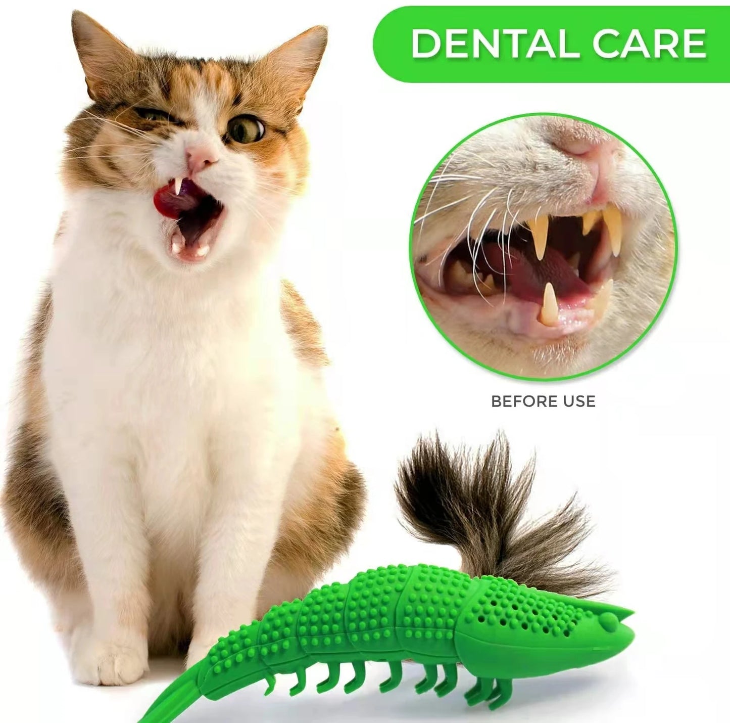 Jouet interactif brosse à dents pour chat