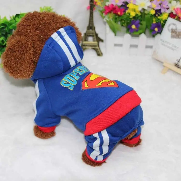 Pull Dog style streatwear pour chien