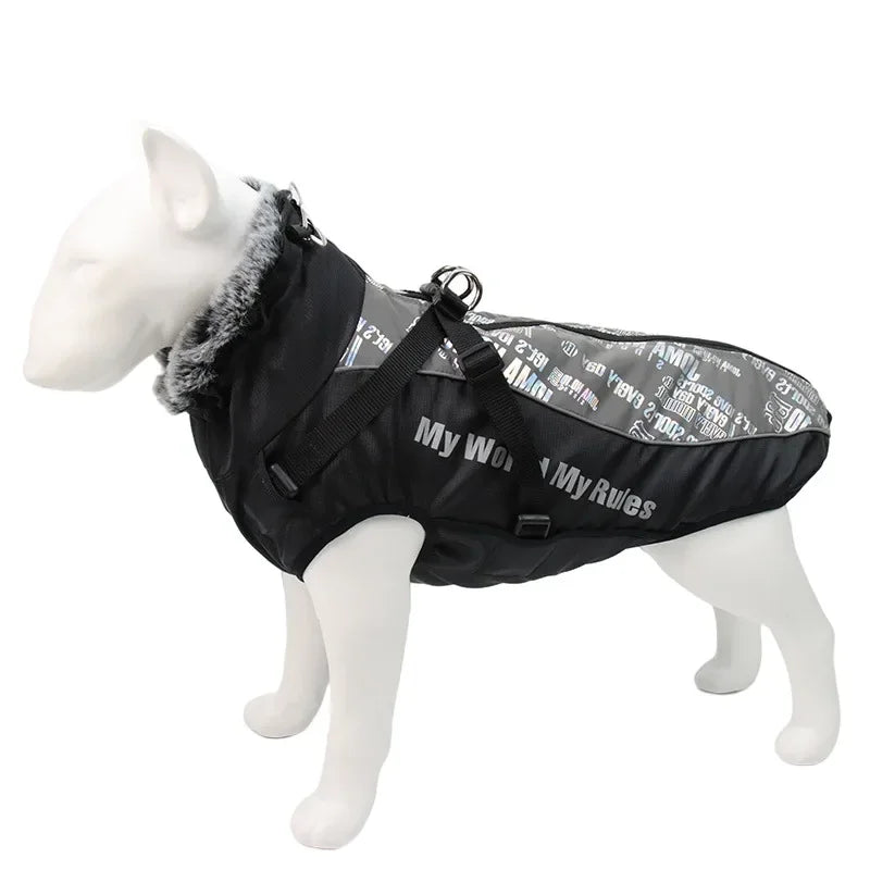 Vêtements imperméables pour chiens