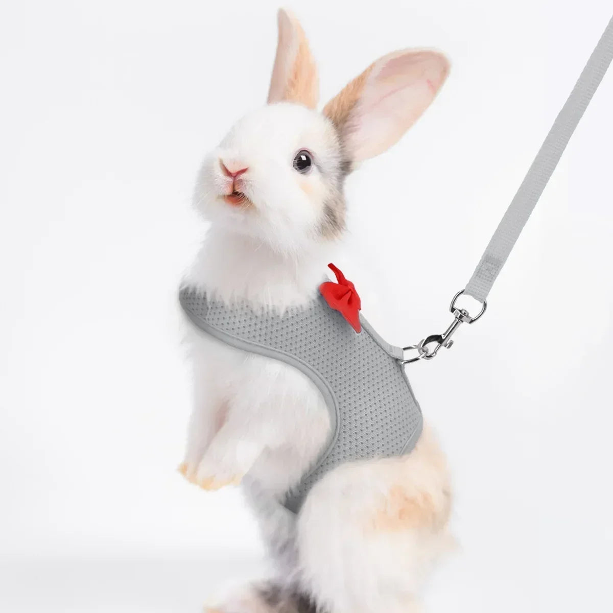 Harnais en maille souple pour lapin et petit animal de compagnie