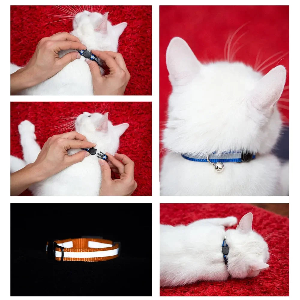 Collier réfléchissant pour chat et chien