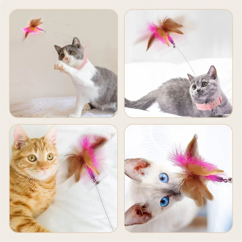 Jouet pour chats collier à plumes interactif