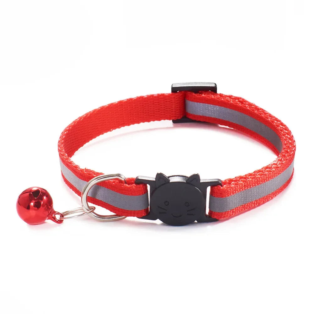 Collier réfléchissant pour chat et chien
