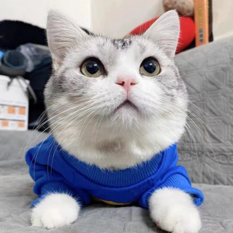 Sweat-shirt tendance pour chat