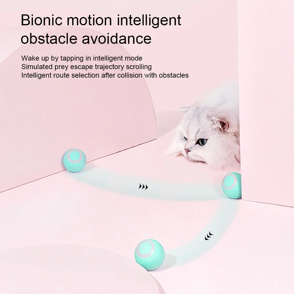 Balle interactive pour chat