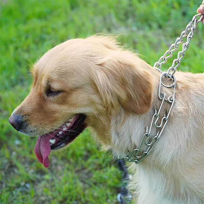 Collier de dressage pour chien