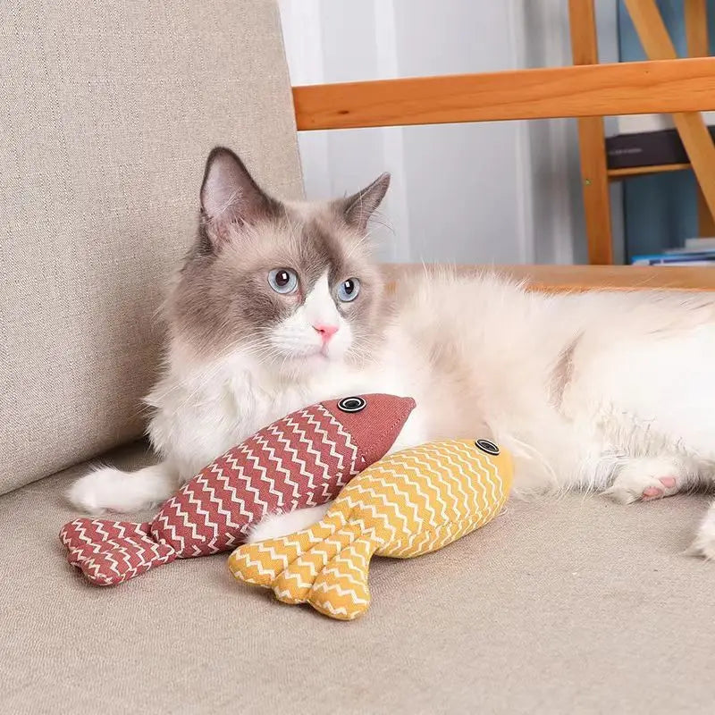 Jouets en forme de poisson à mâcher pour chat à l'herbe à chat