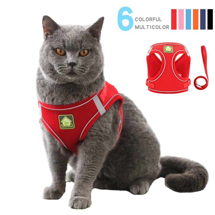 Gilet de harnais réfléchissant pour petit chien et chat avec laisse de marche