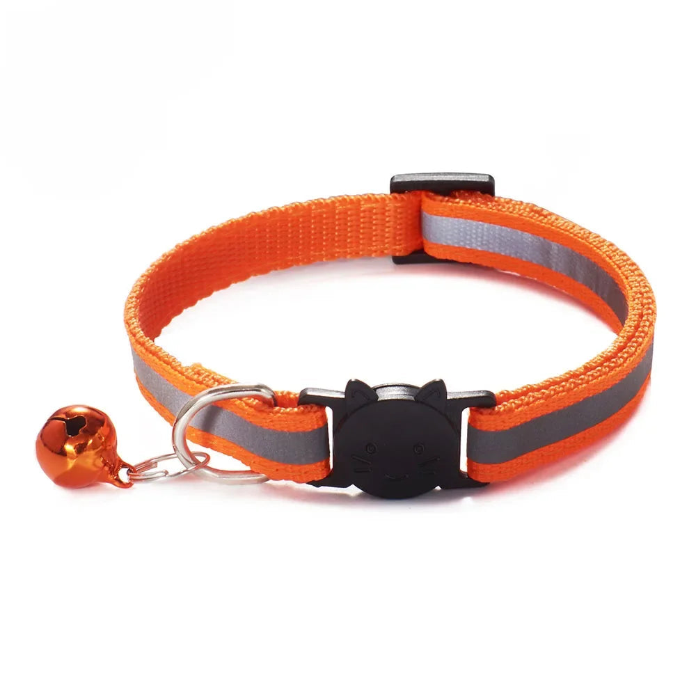 Collier réfléchissant pour chat et chien