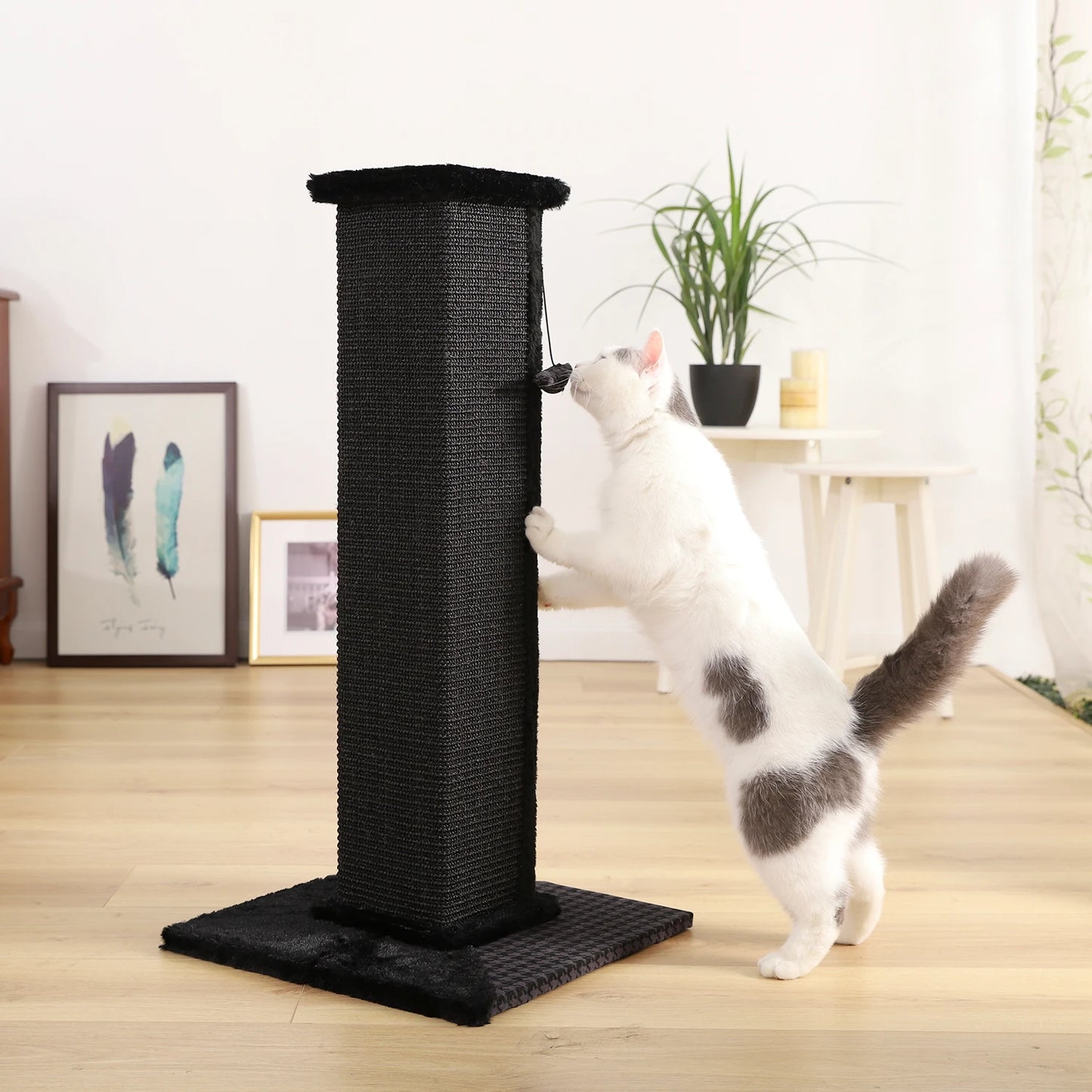 Colonne grattoir luxe design pour chat PAWZRoad