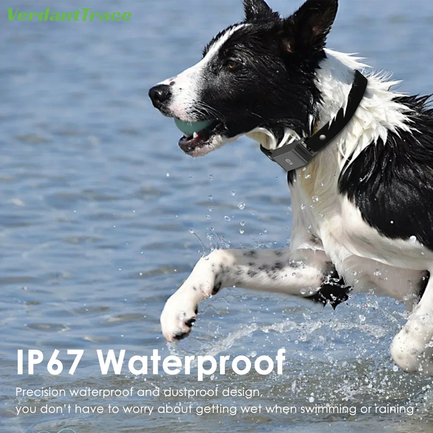 Collier de suivi GPS pour animaux, étanche IP67, 4G, anti-perte, en temps réel