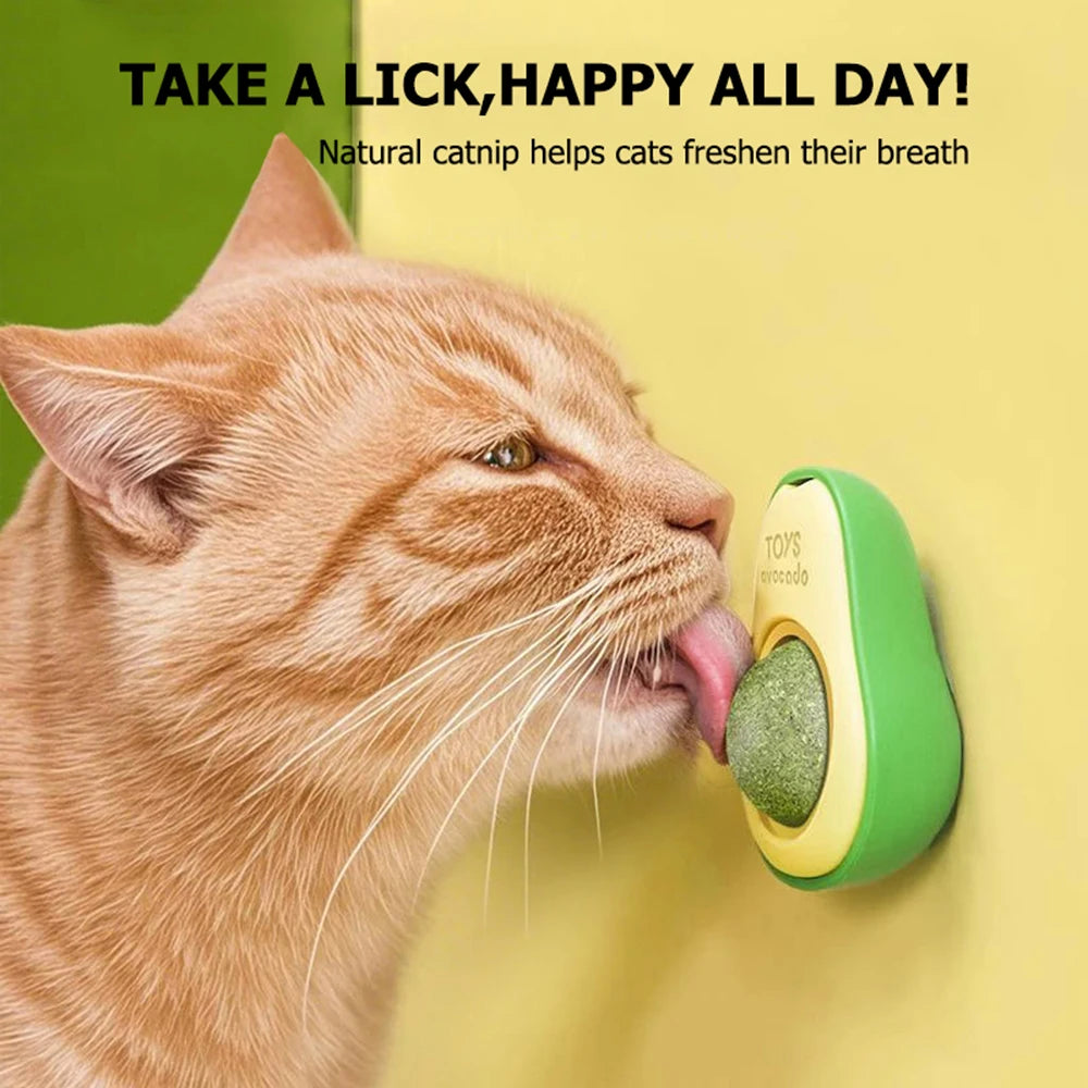 Jouet à l'herbe à chat en forme d'avocat. Boule murale rotative