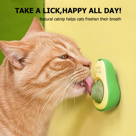 Jouet à l'herbe à chat en forme d'avocat. Boule murale rotative