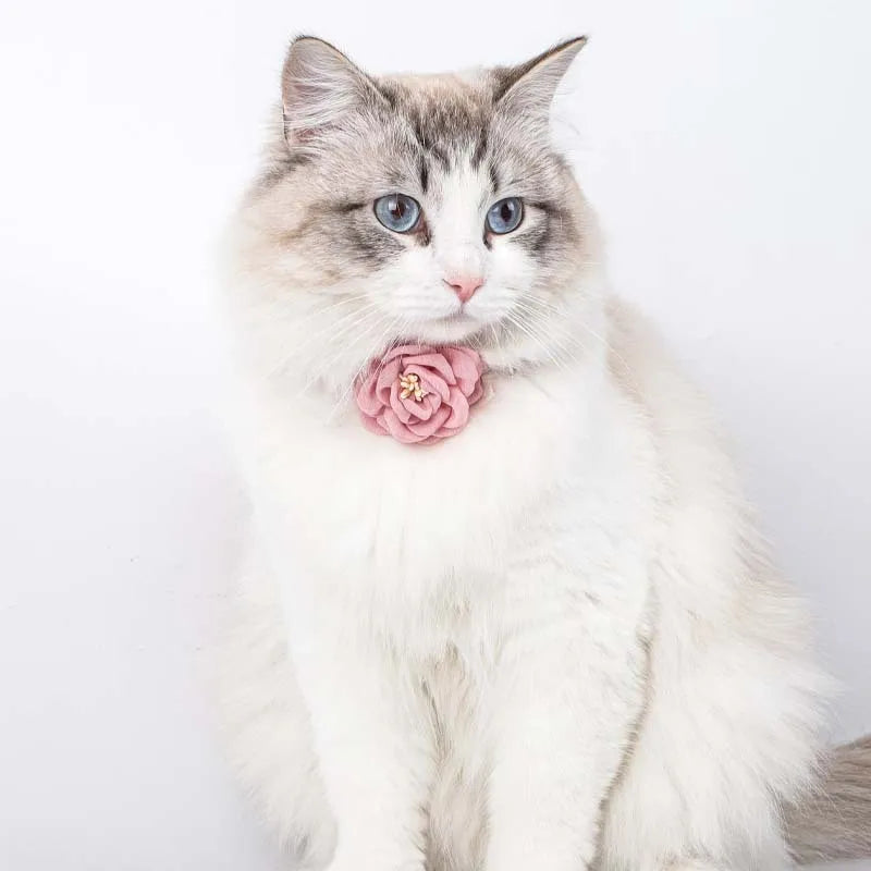 Collier en coton et lin, orné d'une fleur en 3D pour chat et petit chien