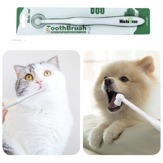 Brosse à dents pour animaux de compagnie