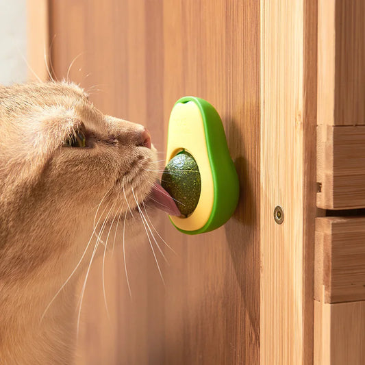 Jouet à l'herbe à chat en forme d'avocat et autres choix