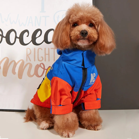 Vêtement de pluie et coupe-vent pour chien