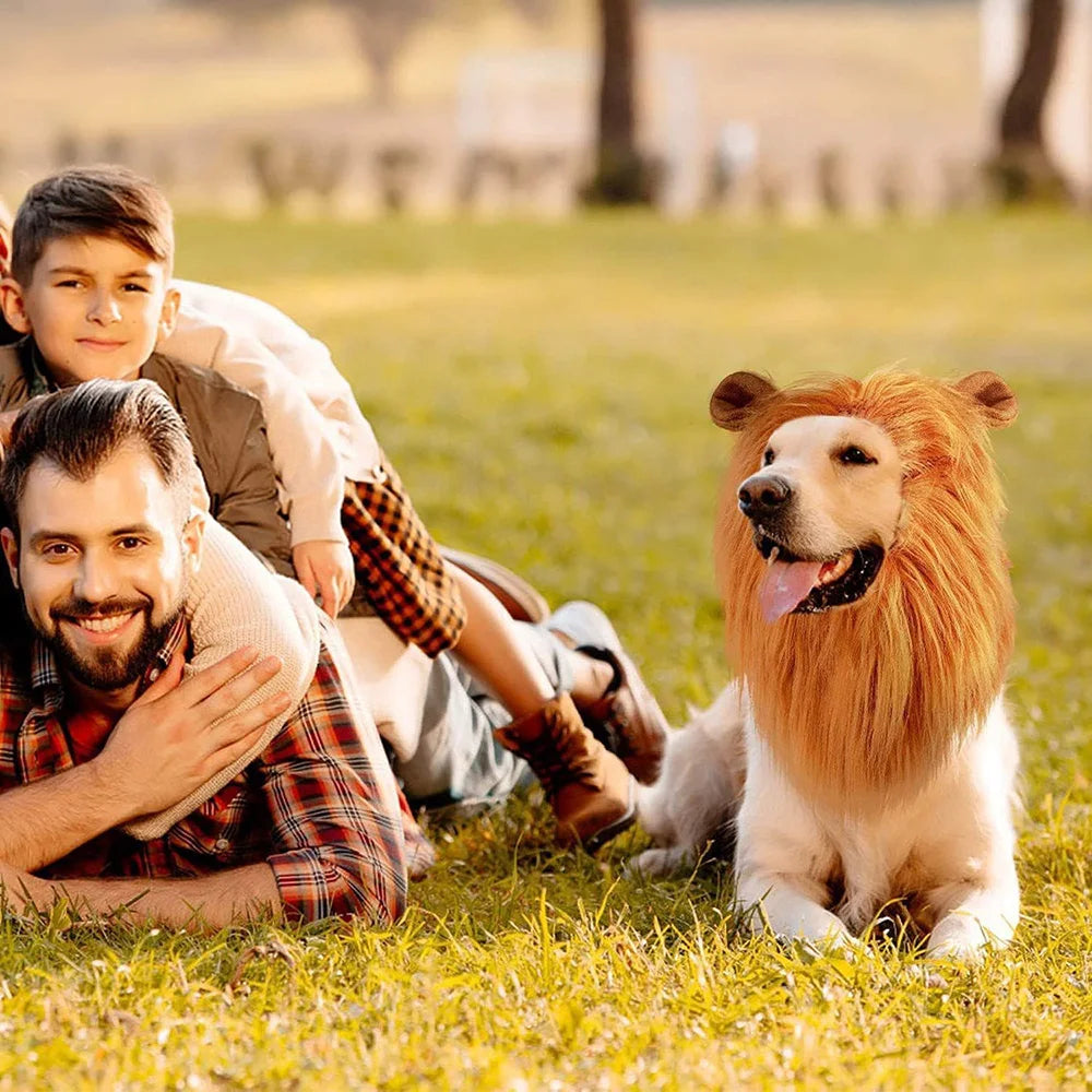 Perruque de Lion pour chien