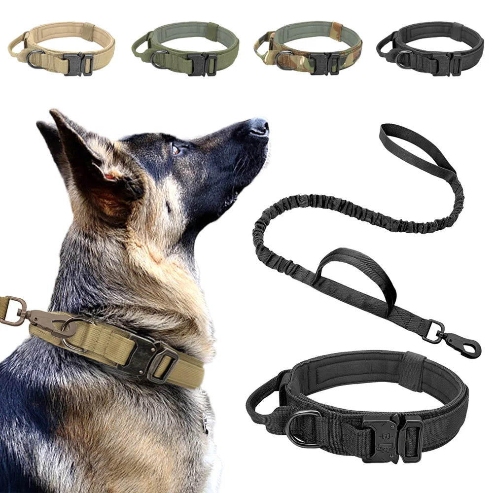 Collier, laisse tactique pour chien